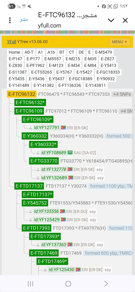 PF6748's tweet image. 🧬✨
يسرني ويسعدني الإعلان عن
النتيجة الجينية للأخ محمد الساهو تحت التحور
E-FGC96132
بعمر يقارب 1100 عام،
ومتكتلة بوضوح في إريتريا 🇪🇷 ضمن الفرع E-FGC18353
المنحدر من السلالة الإبراهيمية E-M84 المشرقية المباركة 🌍🕋
#DNA #E_M84 #E_FGC18353 #السلالة_الإبراهيمية