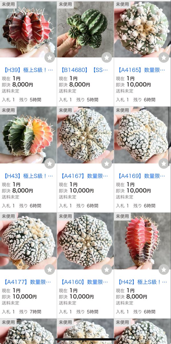 世田谷プランツマーケット on X