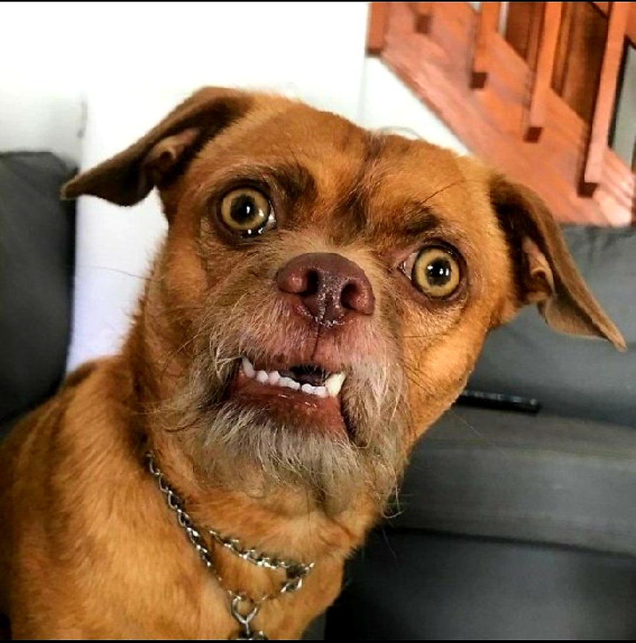 <a href="/Ongavinjelwa/">Alex</a> Lomjita wavele wathatha ama only fans..😭😭😭😭