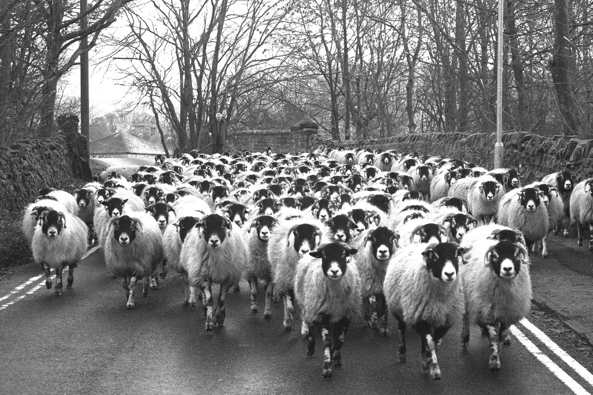 OSM_Photography's tweet image. It&apos;s the final week of the yorkshiredalesphotographyshow.co.uk. There&apos;s still lots of wonderful work to see. Visit us at the Old School Art Gallery in Muker.