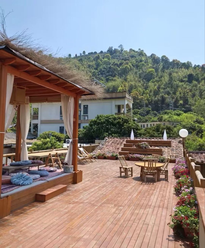 猫猫 617hfu9Y3dL._AC_UF894,