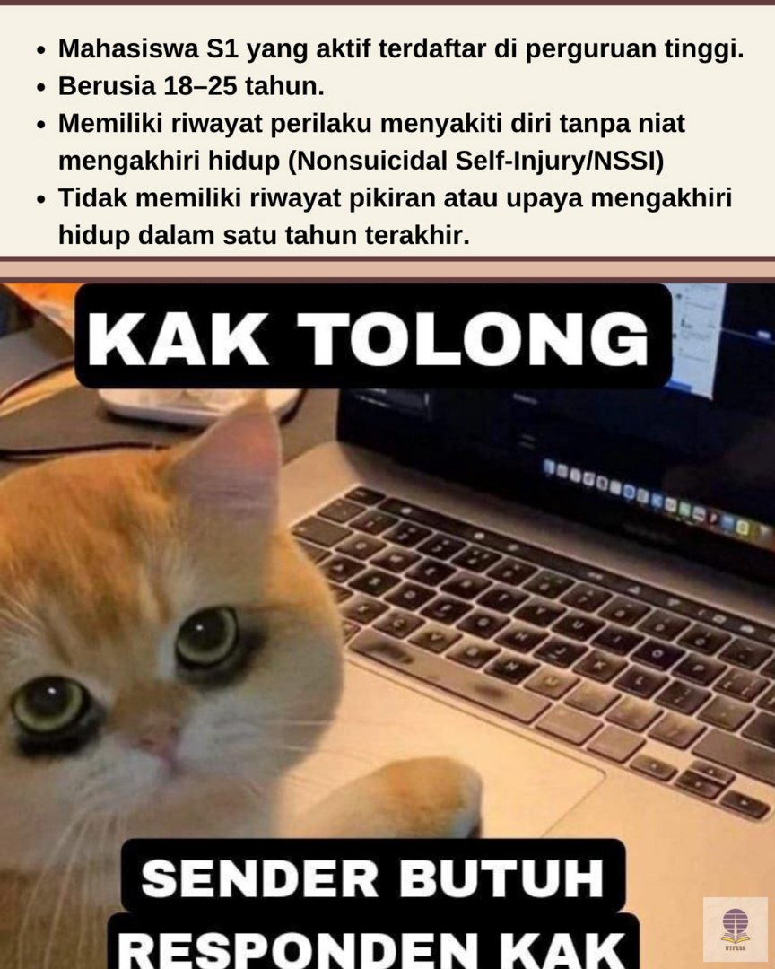 UTFESS | CEK PINNED 📌 tweet media