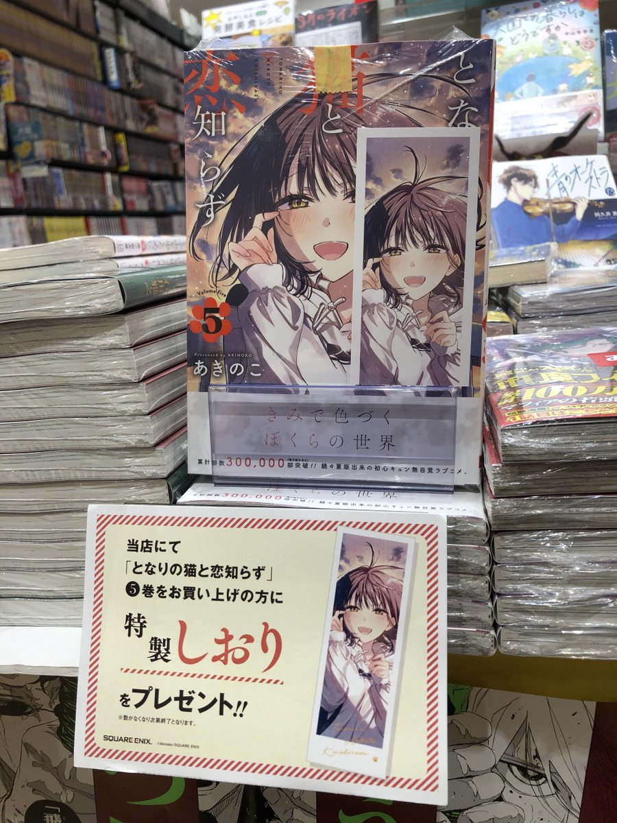 シャドーハウス　しおり 書店 特典 20枚セット シャドーハウス しおり 書店 特典 20枚セット シャドーハウス