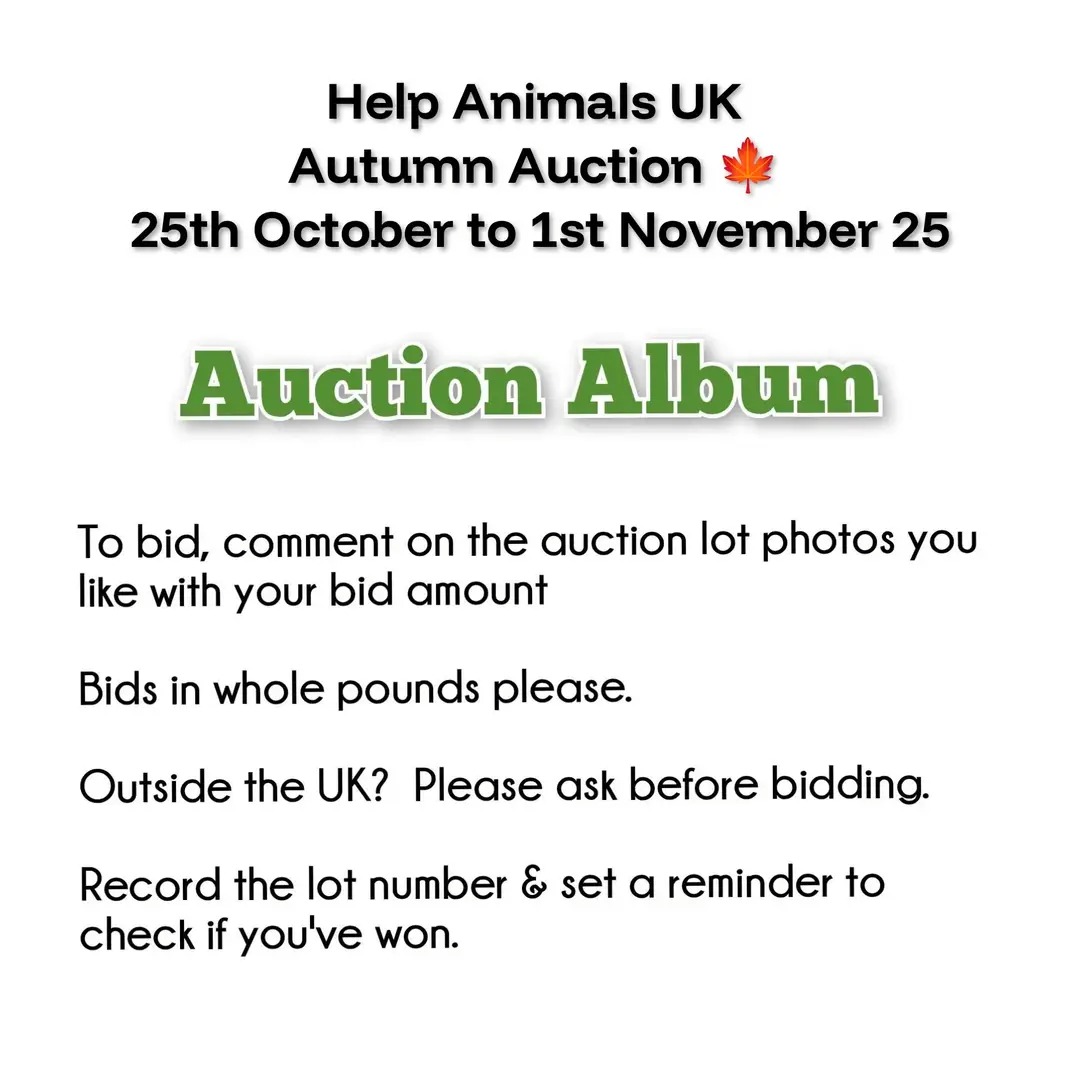 Nesquik1962's tweet image. #HelpAnimalsUK are doing there #AutumnAuction on facebook. Please go check it out &amp;amp; bid on the lots, some are dedicated to a #rescue others you can choose from a list. Home made items, food stuffs, trips, open days for #pets &amp;amp; #Wildlife. 🐶🐱🐭🐹🐰🐮🐿️🦡facebook.com/share/p/1A9tWW…