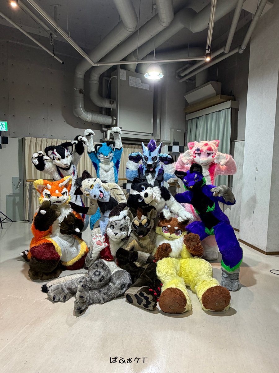 今日の #ぱふぉケモ