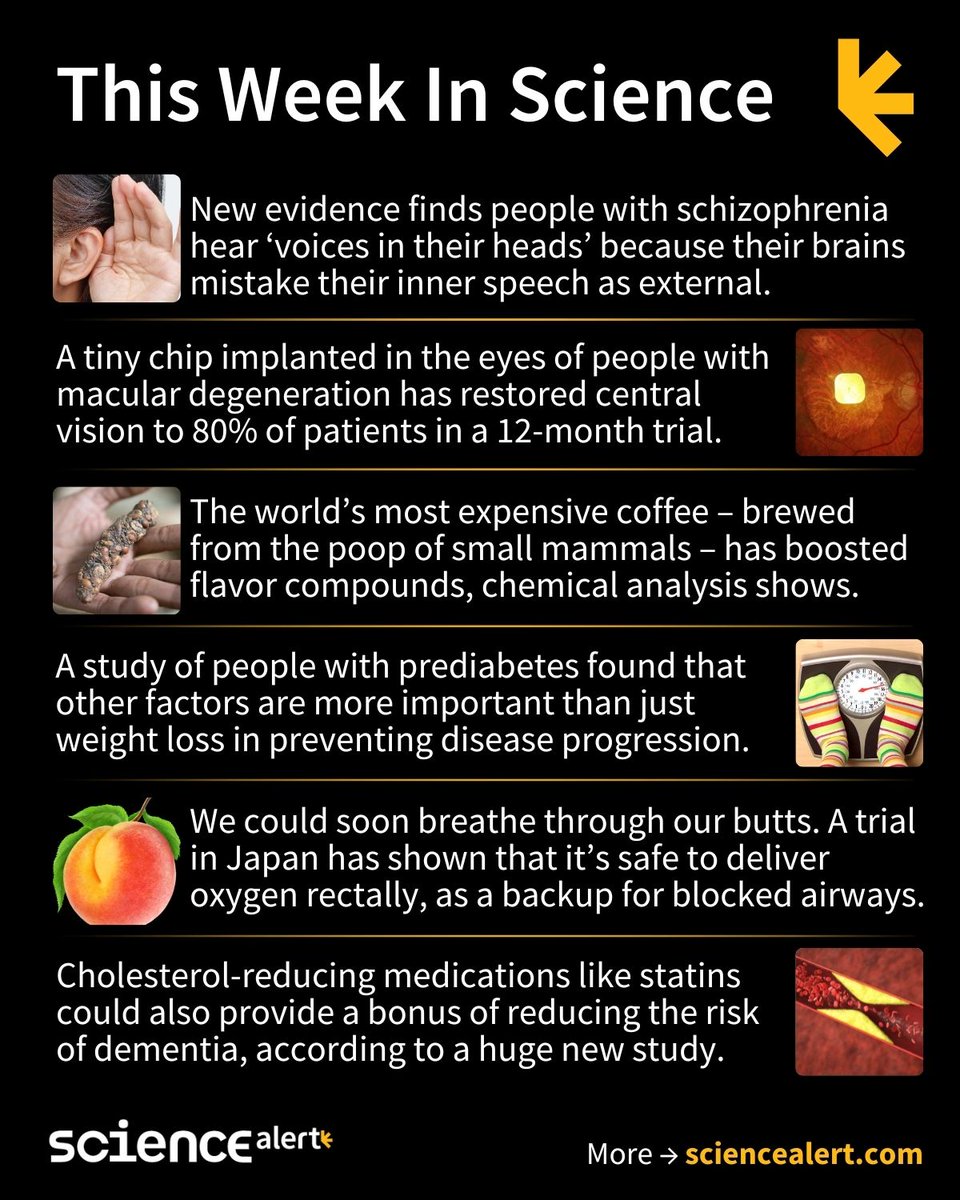 ScienceAlert's tweet image. This Week In Science (October 19 – 25) 🧪

The origin of hearing &apos;voices&apos;, the chemistry of poop coffee, how to breathe through your butt, and much more!

#ScienceNews #ScienceAlert #STEM #ThisWeekInScience #TWIS