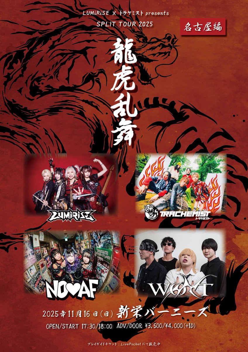 ◤◢◤ 新着ライブ情報🆕 ◢◤◢ バンド対バン🔥 2025年11月16日(日