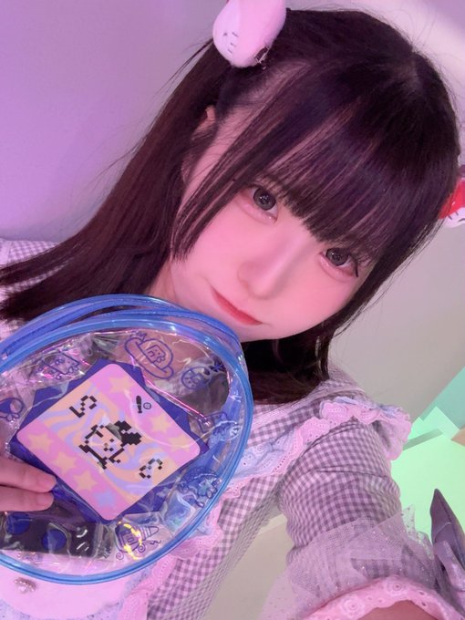 空想ピュエラのイメージ