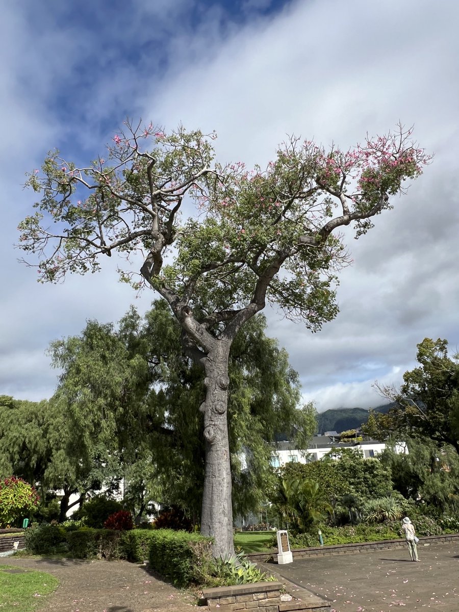 Prof Satya Sarker (Phytochemist & Writer) 🇬🇧 tweet media