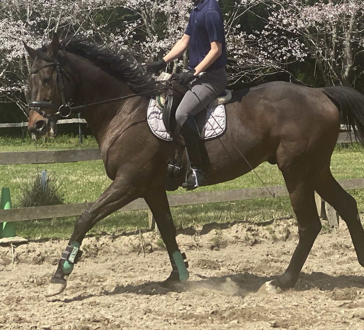 りくポニー Shirring Princess JSK (2023) by Baby, the Stars Shine Bright