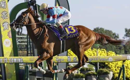 jimuin7035's tweet image. アメブロを更新しました。『3093 ｢第86回菊花賞競走｣予想印での予想｡』
⇒ ameblo.jp/senohia7027/en… #アメブロ @ameba_officialより