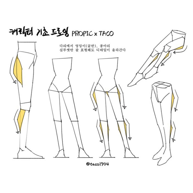 EtheringtonBros's tweet image. Our feature tutorial/artists today is this RIDICULOUSLY USEFUL page on LEGS by the talented @taco1704! These clear illustrations show the overall muscle forms BRILLIANTLY! #anime #manga #gamedev #illustration #drawing #ART #DRAW #characterdesign #comicart