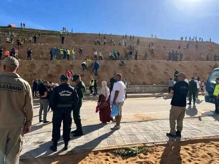 algatedz's tweet photo. Des centaines de milliers d'Algériens sont mobilisés aujourd'hui à travers le pays. Adultes, enfants, civils, militaires.
Objectif : Planter 1 million d'arbres 🌳🌲🌴, pour une #AlgérieVerte, pour l'avenir des générations futures.
#خضراء_بإذن_الله https://t.co/jeHbvgZvlS