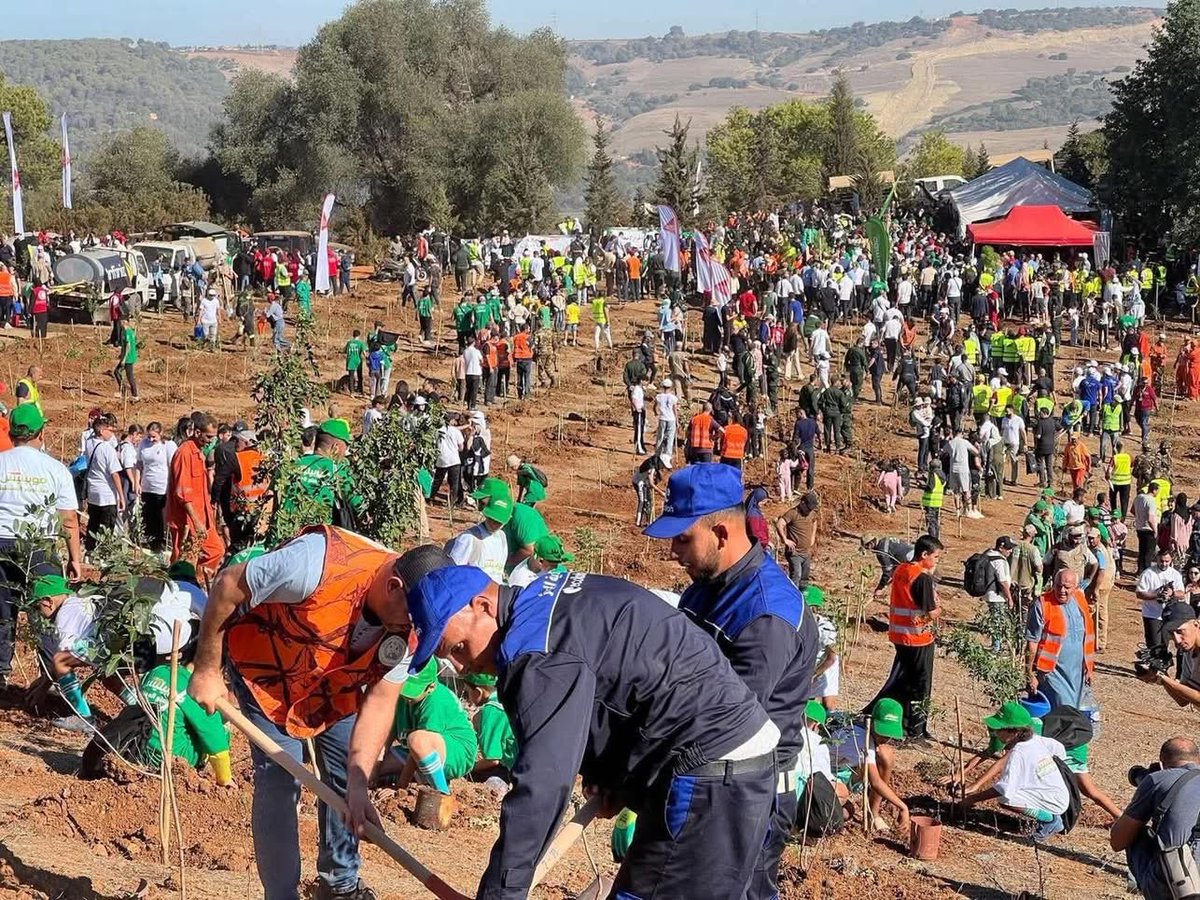 algatedz's tweet photo. Des centaines de milliers d'Algériens sont mobilisés aujourd'hui à travers le pays. Adultes, enfants, civils, militaires.
Objectif : Planter 1 million d'arbres 🌳🌲🌴, pour une #AlgérieVerte, pour l'avenir des générations futures.
#خضراء_بإذن_الله https://t.co/jeHbvgZvlS