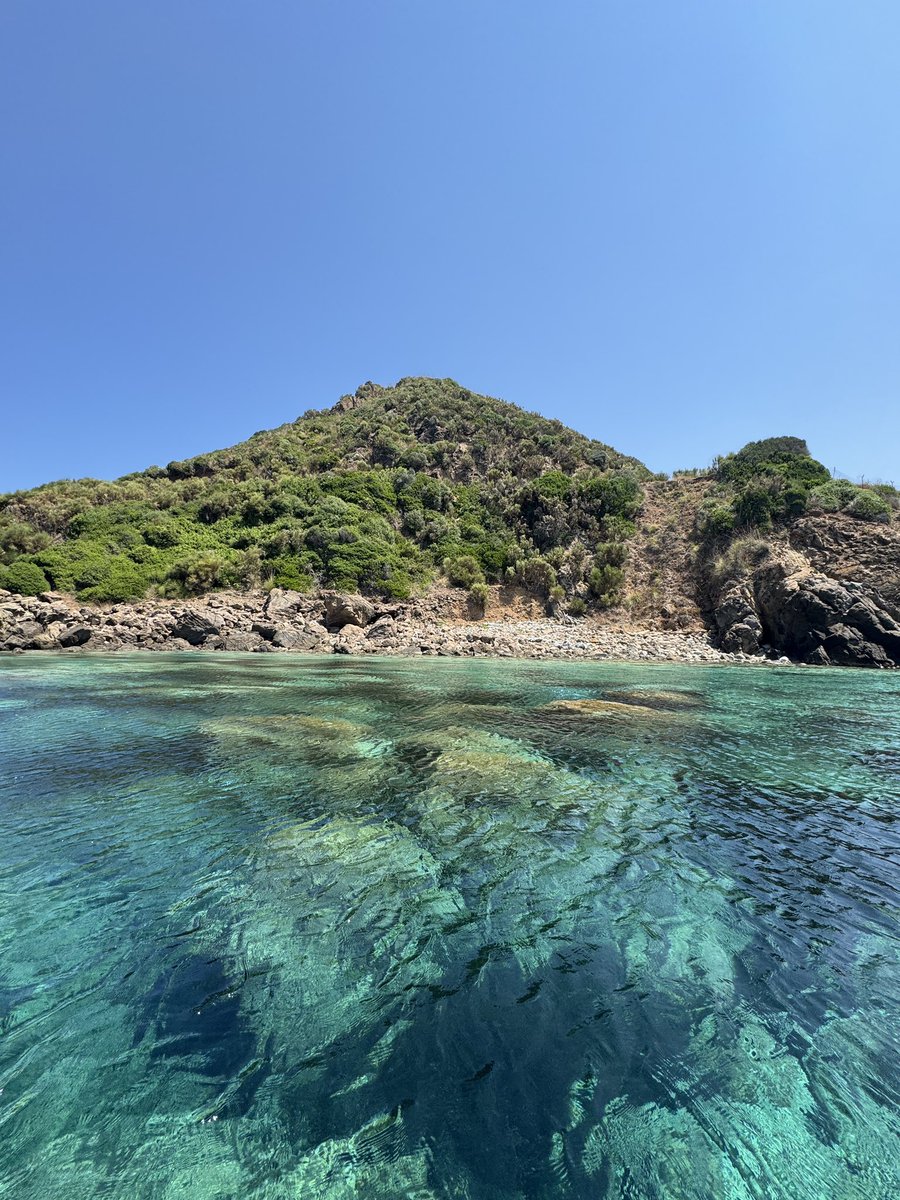 Mes préférées de cet été