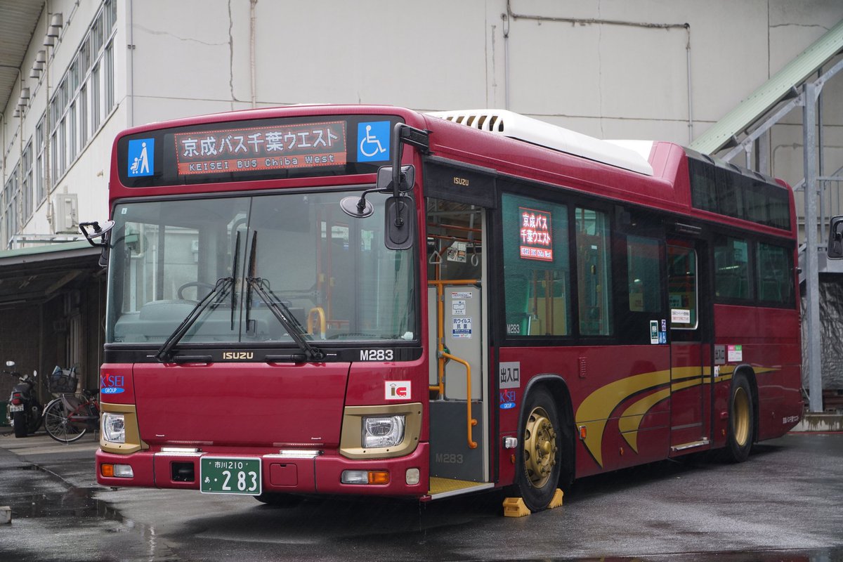 PSA10 Reバース PP 河東 ぱい ぽんのみち Reバース PP 河東 ぱい ぽんのみち Reバース PP 河東 ぱい ぽん