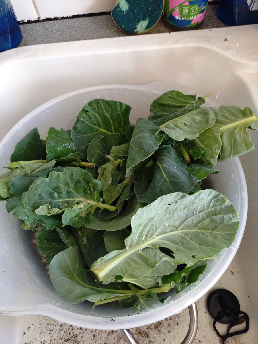 tony Lewis tweet media