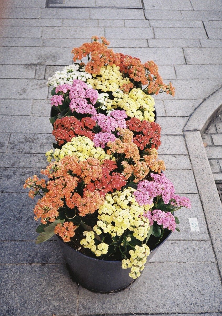 カズ様の専用ページ♡ カズさん on X