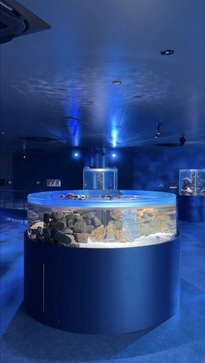 ume__gourmet's tweet photo. 10月31日にオープンする
広島の新水族館が想像以上だった… https://t.co/CbIPpLek6U