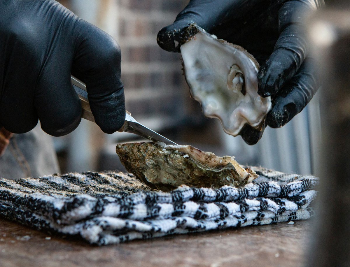 Port of Boston tweet media