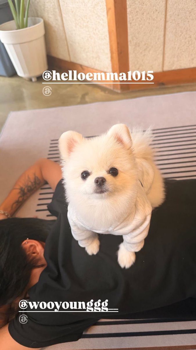 251025 | [📷] YEOSANG (@/im_ovation) Instagram Hikâye Güncellemesi 

#ATEEZ #에이티즈 <a href="/ATEEZofficial/">ATEEZ(에이티즈)</a>