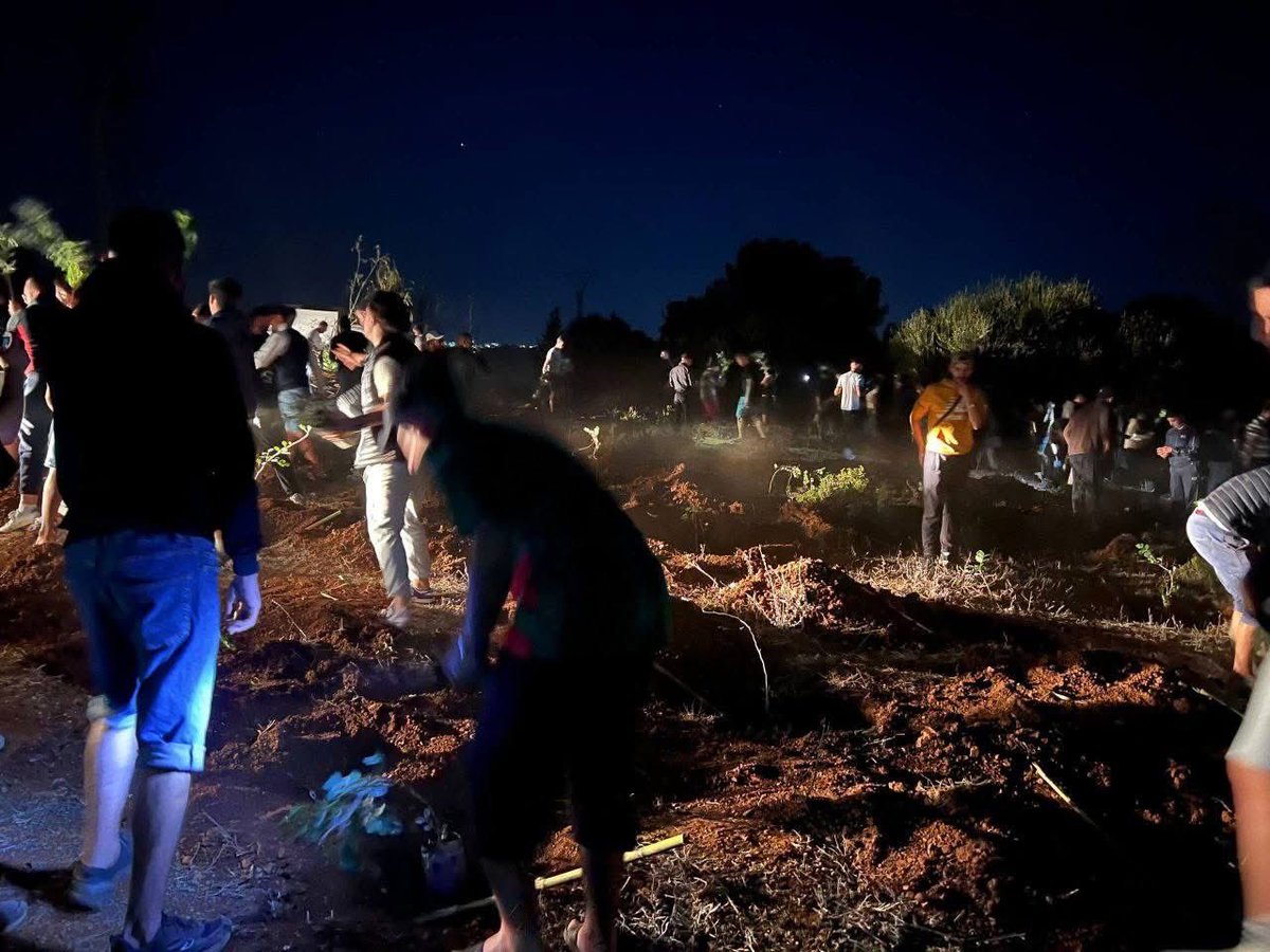 🌳🇩🇿 Ultra’ Amore E Mentalita ont pris part à la campagne Algérie Verte, en plantant plus de 2000 jeunes arbres dans la forêt de Magtaa Kheira 🌲
