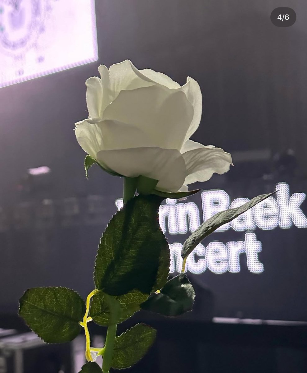 otakudokko's tweet photo. 예린 언니가 얼마나 로맨티스트냐면
콘서트때마다 꽃을 챙겨줌 ……. https://t.co/xTj5g0D2sO