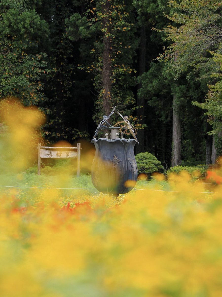 mashiko1970's tweet image. オブジェ

#オブジェ
#Objects
#art
#アート
#芸術
#花畑
#胎内フラワーパーク
#花
#flower
#草花
#植物
#はなすたぐらむ 
#写真好きな人と繋がりたい
#カメラ好きな人と繋がりたい
#ファインダー越の風景
#カメラ友達募集中
#写真仲間募集中
#カメラのある暮らし
#新潟カメラ部
#マリサポ写真部