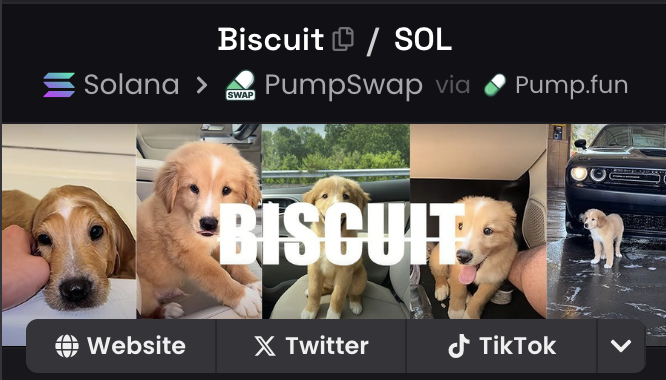 GM $BISCUIT community! DAY 5.
DEX Banner just got updated. 

We continue to spread the word and make <a href="/BillyM2k/">Shibetoshi Nakamoto</a> proud of us, while he is getting more and more supply.
SEND IT!

DKWdA7wr3wzCFZeqUSedjK87C9tDdVeTcg31UrnWpump