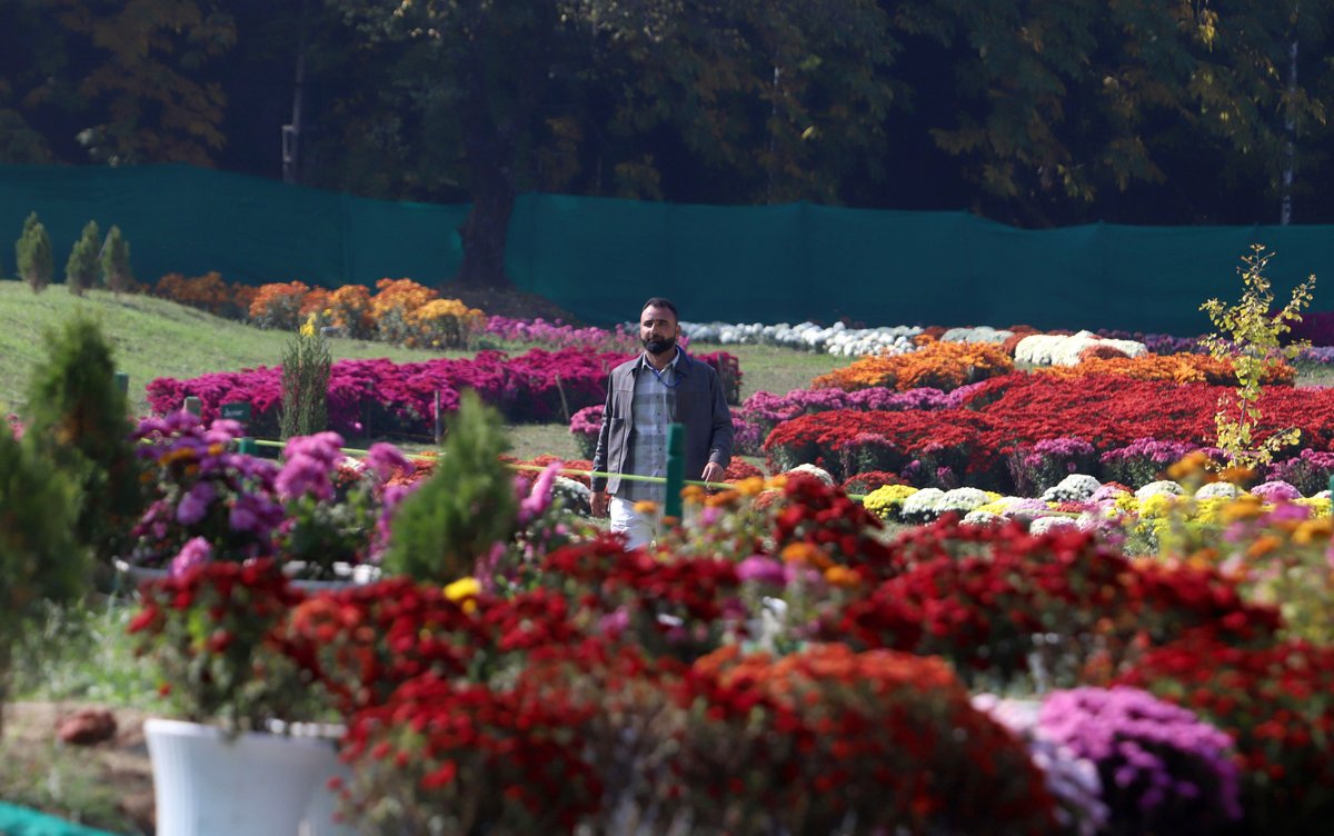 Chief Minister of Jammu and Kashmir Omar Abdullah inaugurates the first-ever Chrysanthemum Garden (Bagh-i-Gul Dawood) at the Botanical Garden on the banks of Dal Lake in Srinagar, on Saturday.

Photo: KM / Umar Ganie