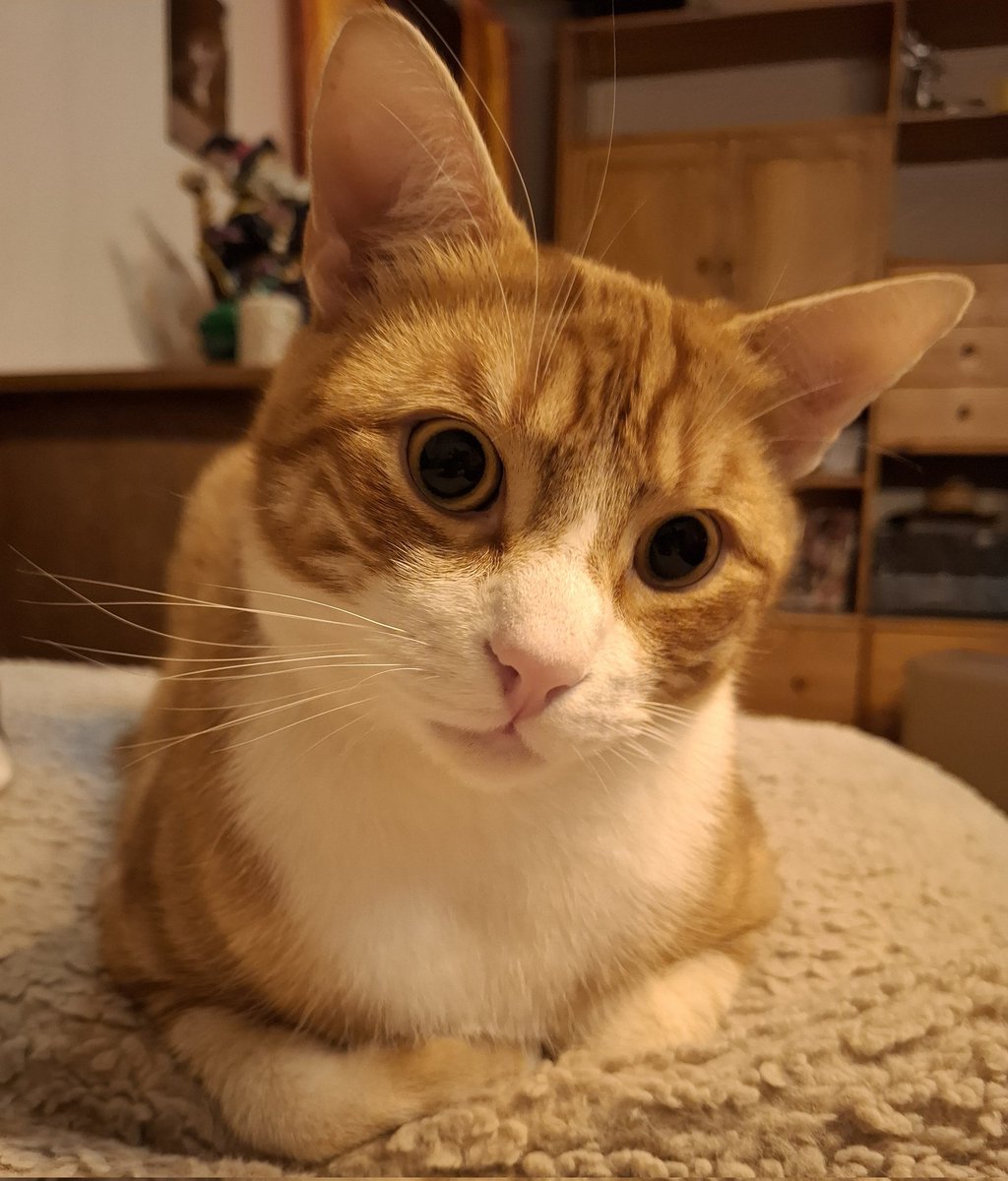 Kleine Krö....args...Süüüüüssmaus🥰