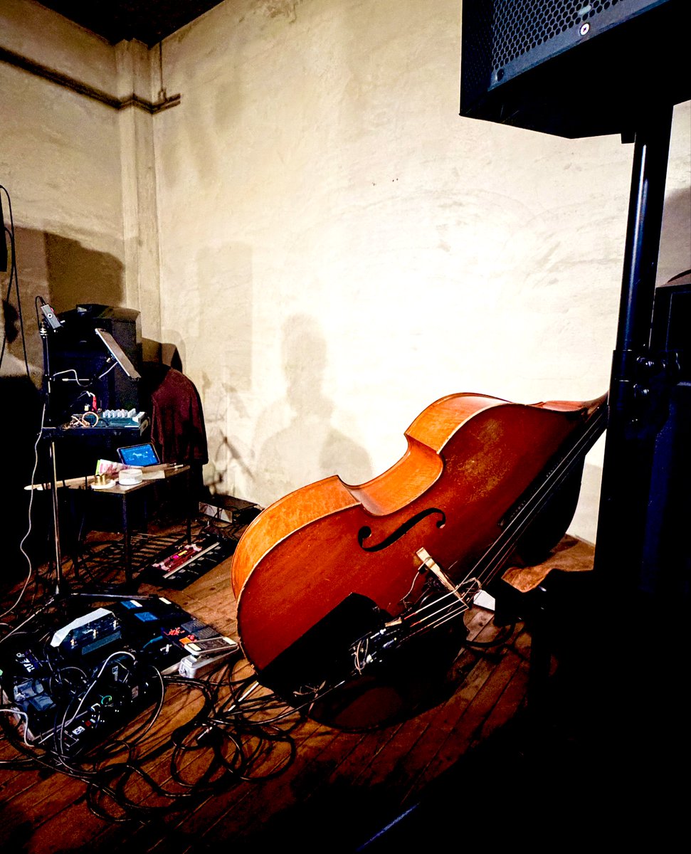 前田さん専用 チェロベース：チェロをウッドベース風にモディファイ・手渡し歓迎 前田さん専用 チェロベース：チェロをウッドベース風に