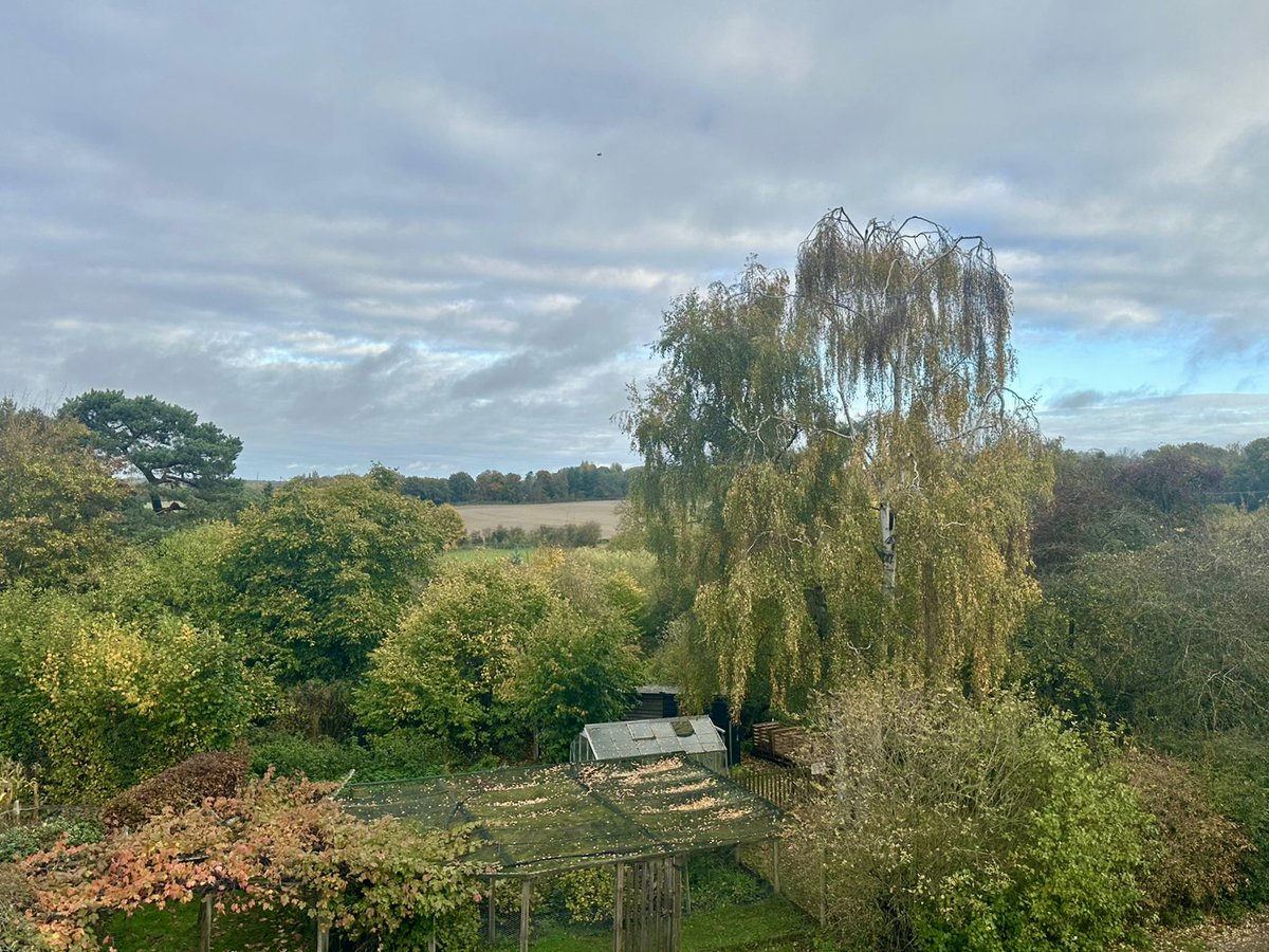 A lovely visit to #LoveGorsefield on Tuesday 🍂

Fantastic to see the children from @ArnhenWharfUKS2 out and about — making the most of everything autumn has to offer! 🌳🍁🌞

#OutdoorLearning #AutumnAdventures #NatureBasedEducation #LearningOutsideTheClassroom