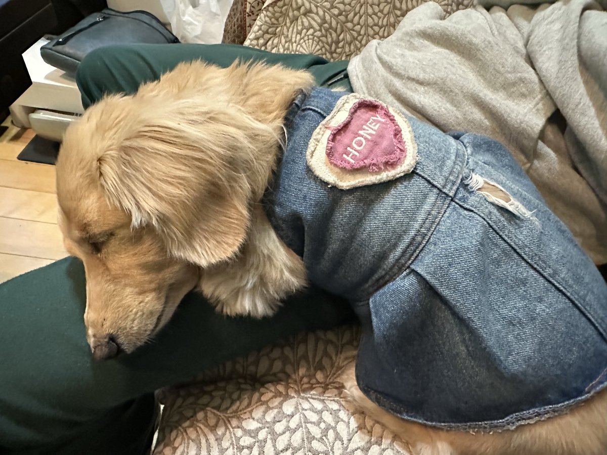 Naonaoページ 23~Ninja ZX-4R SE/RR (8BL-ZX400P) POWERBOX パイプ ｜SP忠男