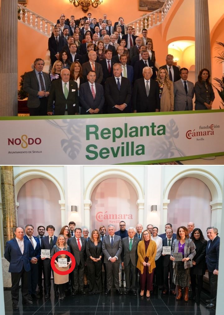 Hay #Transparencia en #ReplantaSevilla?
De qué #Vivero salen los #Árboles y a qué precio?
Quién hace las placas, a qué precio, quién las coloca y si son arrancadas, las reponen?
Quién decide la ubicación de cada árbol y con qué criterios?
Quién #Fiscaliza su gestión y desarrollo?