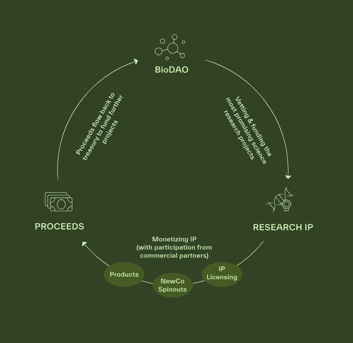Biotech is entering a new digital era.

<a href="/BioProtocol/">Bio Protocol</a> empowers scientists to fund, build, and share their discoveries faster than ever before.

With <a href="/BioProtocol/">Bio Protocol</a> , researchers gain access to:
➛ Streamlined tools that simplify funding, coordination, and commercialization
➛ A