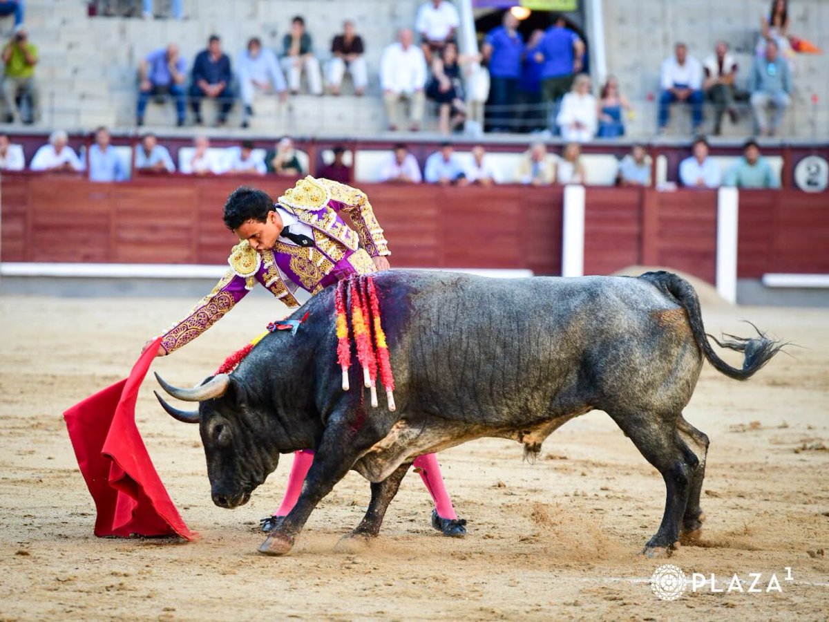 ✓Hoy a las 14.00h reposición de
tendido33@hotmail.com,EN 
<a href="/CANAL33/">Canal 33 Madrid</a> .
Las noticias , entrevistas  y lo más 
destacado de los últimos días.
Streaming  canal33.info
Frecuencias 23/24/45 UHF de TDT
Domingos 14.00h.
