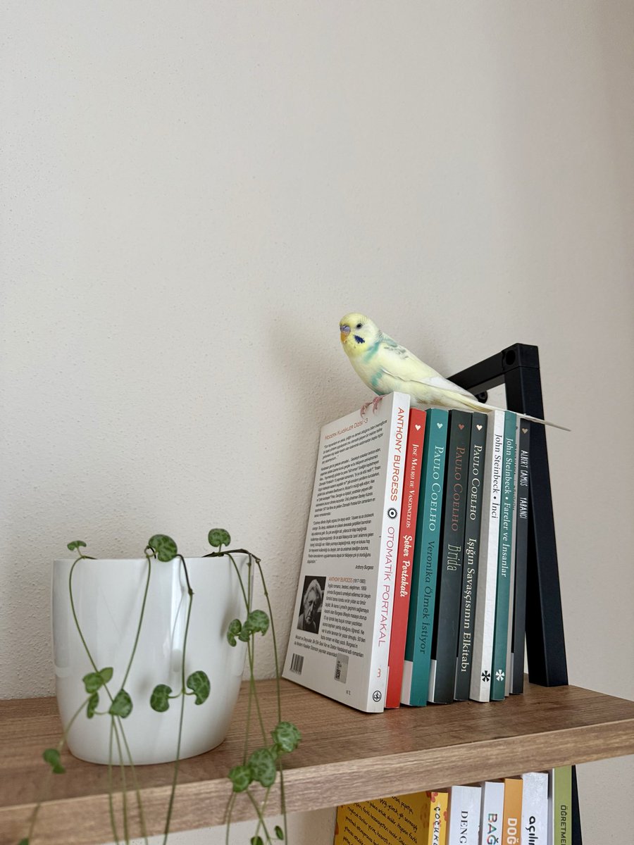 O da benim şekerim 🐣