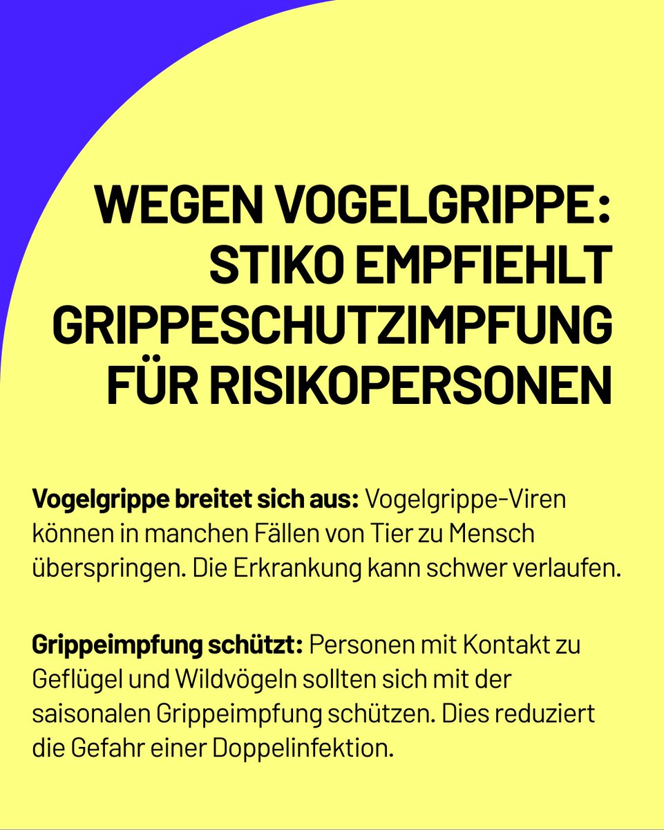 BMG_Bund's tweet image. Personen mit Kontakt zu Geflügel und Wildvögeln haben ein erhöhtes Risiko, an Vogelgrippe zu erkranken. Die Stiko empfiehlt diesen Menschen die Grippeschutzimpfung - sie schützt nicht vor der Vogelgrippe, aber vor einer gefährlichen Doppelinfektion.

Mehr: rki.de/DE/Themen/Infe…