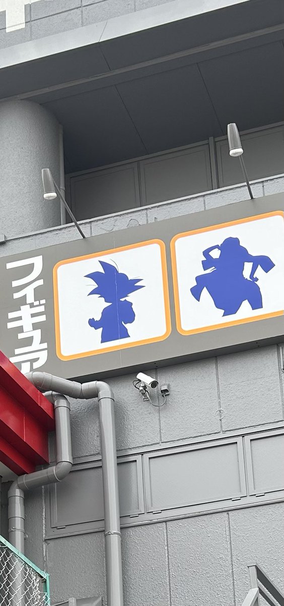 アカネ出品 ×5 アカネ出品 ×5 希少】アカネ sr