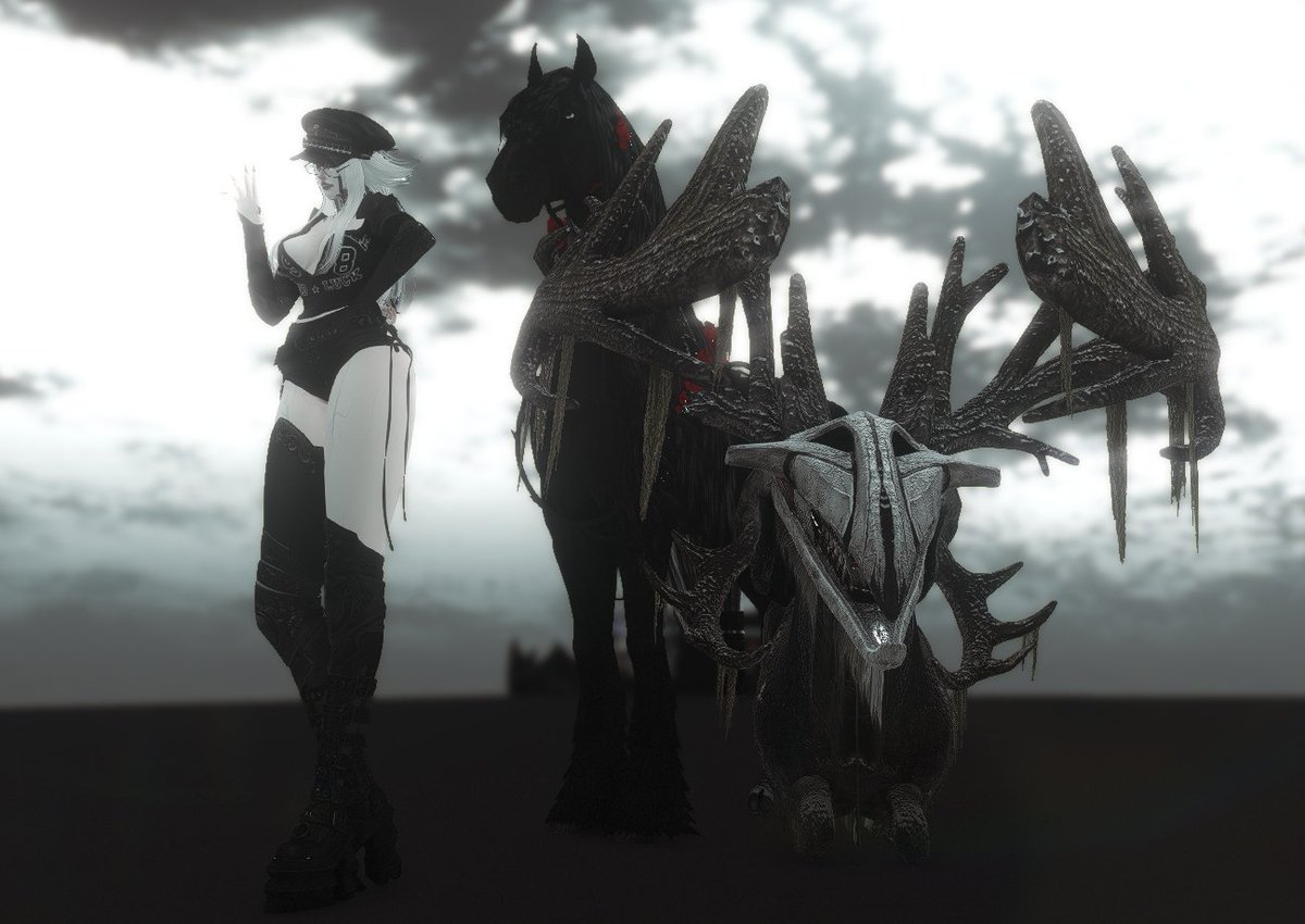 syxxmother's tweet image. MY BIG BABIES !! i finally let lucifer free after like.. a year, so inca has a buddy now