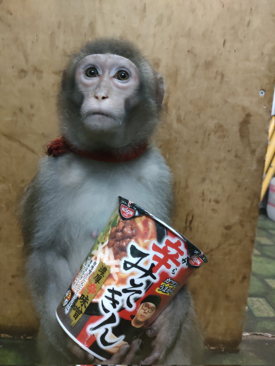 戦豆の猿まわし (@senzunoosaru) / Posts / X