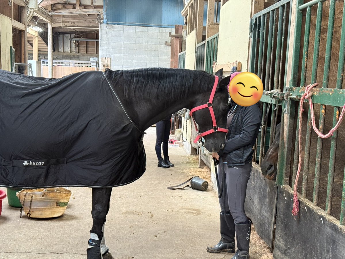 happyridingtime's tweet photo. 雨の日はあまえんぼさん https://t.co/8BKKsFFdTS