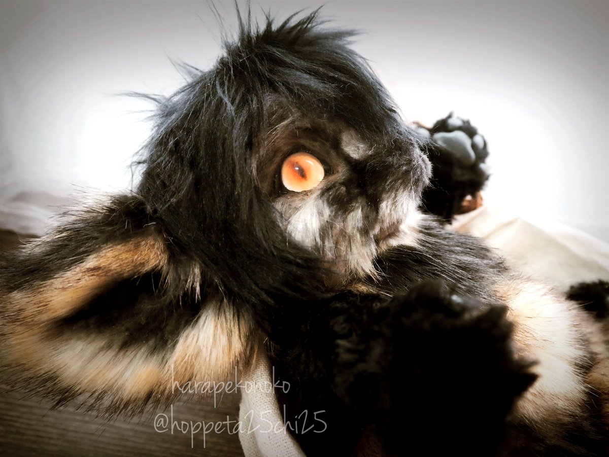 ハラペコ様 ヒヨコ アートドール ハラペコ様 ヒヨコ アートドール ハラペコ (@hoppeta25chi25) / Posts / X