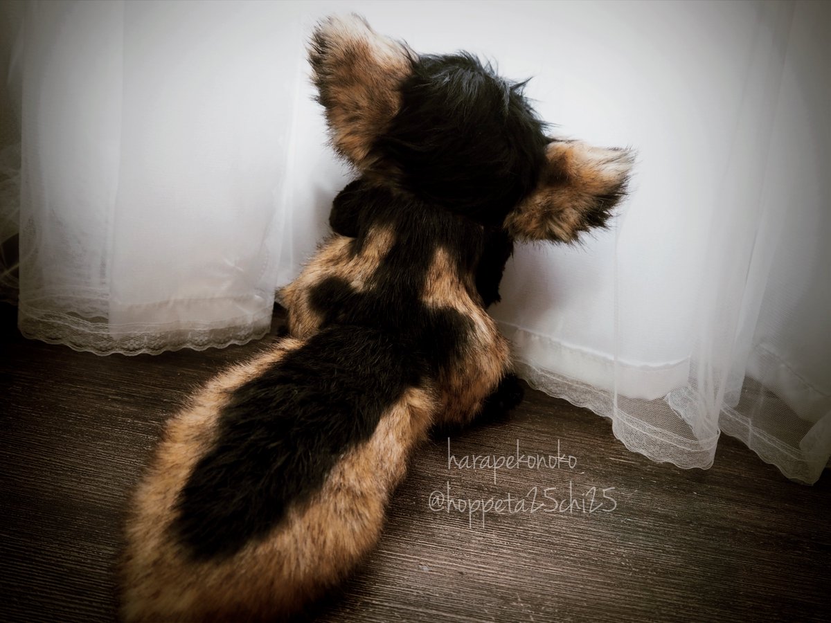 ハラペコ様 ヒヨコ アートドール ハラペコ (@hoppeta25chi25) / Posts / X