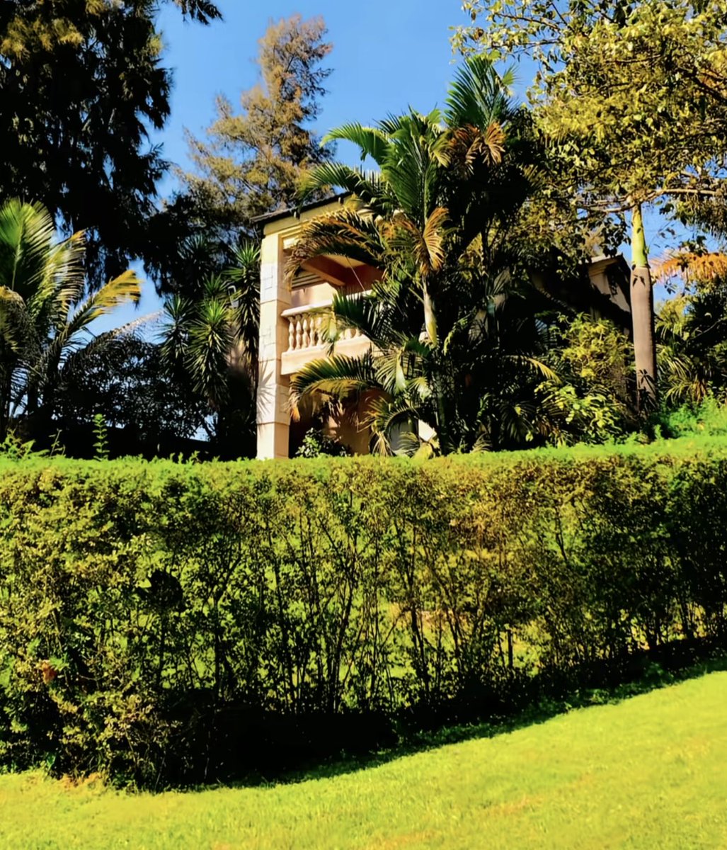 Je partage des vidéos et photos magnifiques du #Congo🇨🇩 (paysages, culture...), mais souvent moins de 20K vues et moins de 100 retweet. Pourtant, des contenus positifs sur d'autres pays d’Afrique comme le #Bénin🇧🇯 cartonnent à +200K vues.

Pourquoi ce désintérêt pour le récit