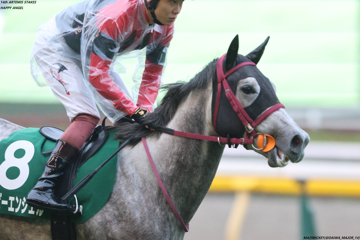 マジみっきー on X