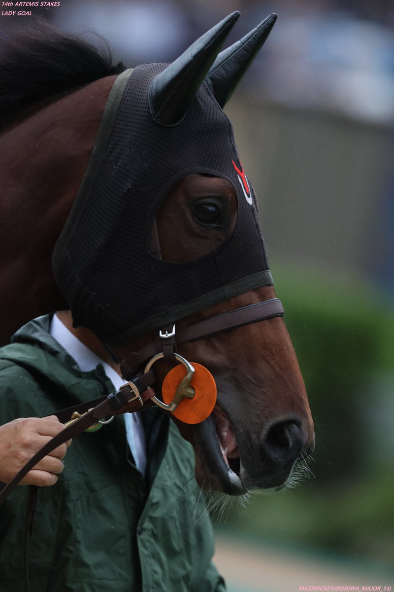 マジみっきー on X