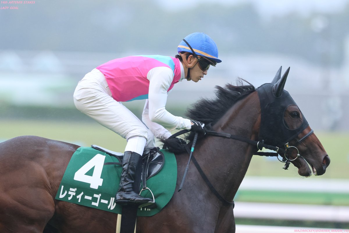 レイデオロ　たてがみ 競馬たてがみ レイデオロ