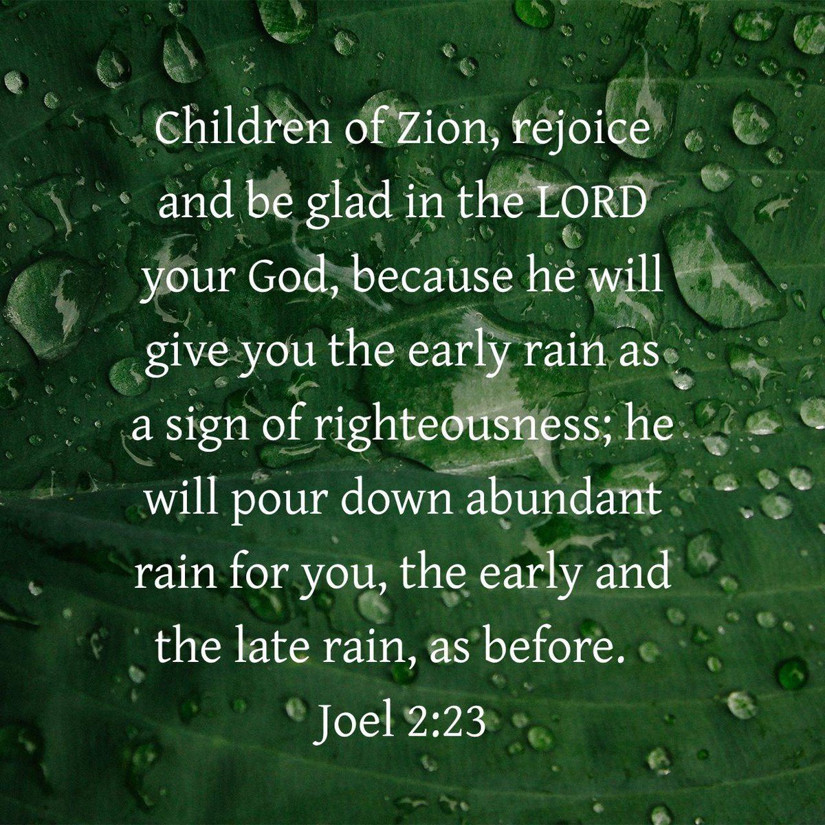 Lectionary's tweet image. Joel 2:23 CEB
[23] Children of Zion, rejoice and be glad in the LORD your God, because he will give you the early rain as a sign of righteousness; he will pour down abundant rain for you, the early and the late rain, as before.

bible.com/bible/37/jol.2…